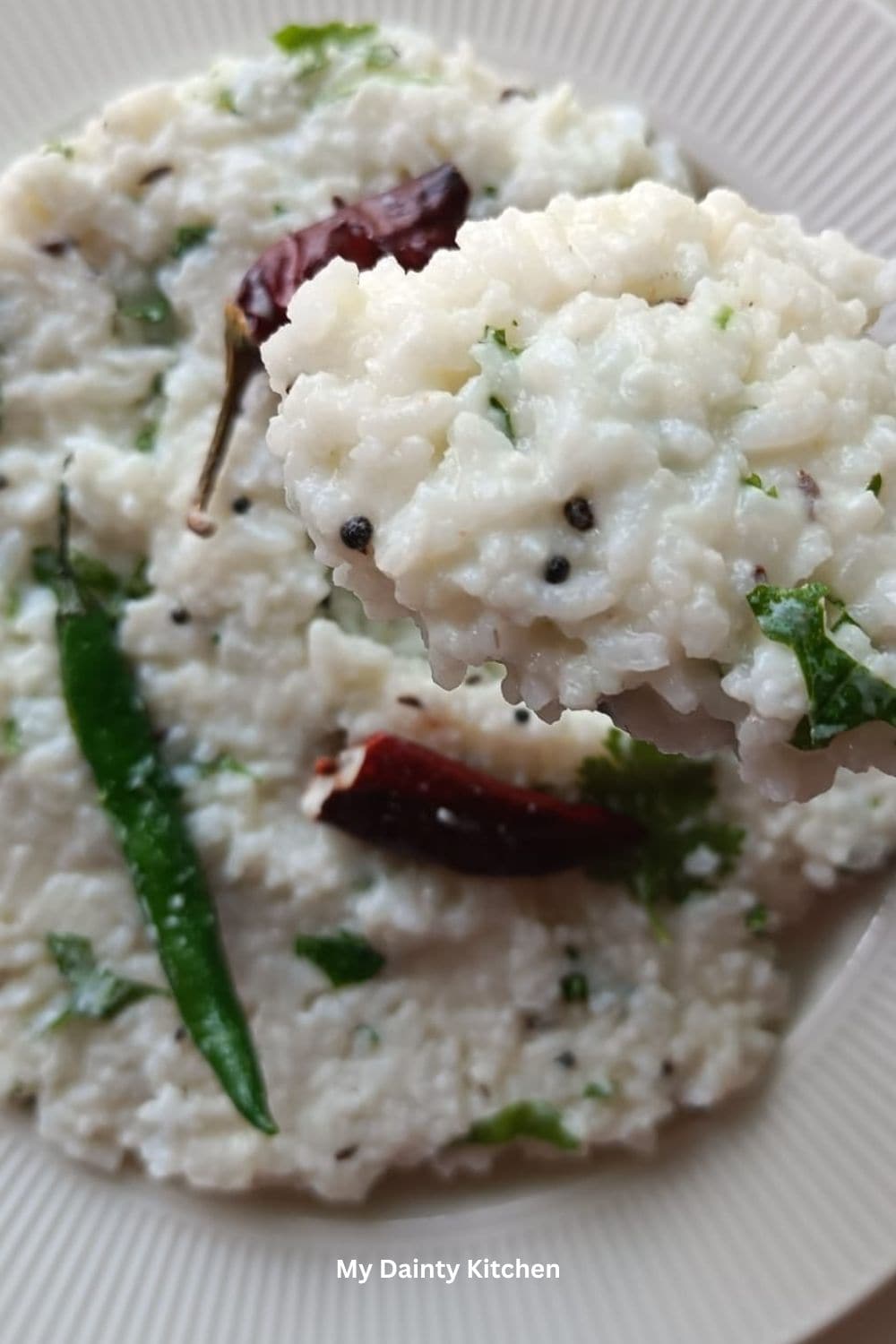 curd rice close up