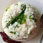 curd rice