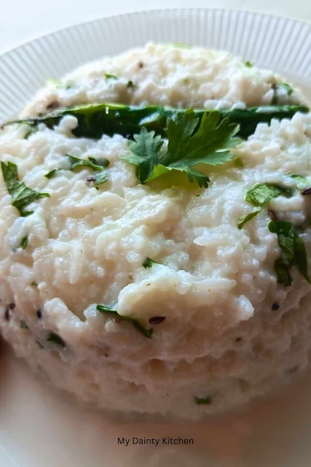 curd rice displayed on a white plate