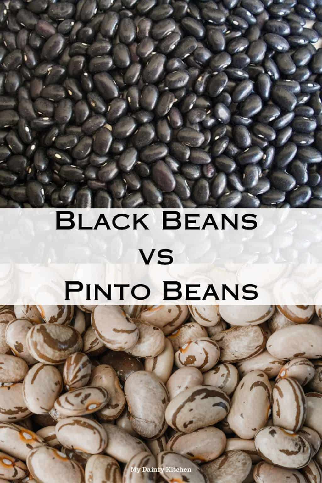 Black Beans vs Pinto Beans My Dainty Kitchen