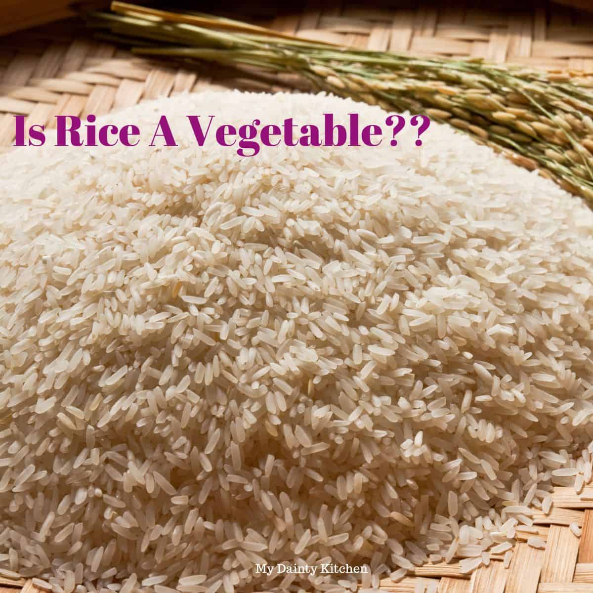 Is Rice A Vegetable? My Dainty Kitchen
